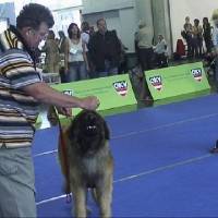 Salzburg Clubschau Mai 06 219 